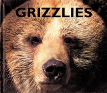 Grizzlies (Naturebooks)