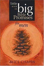 The Little Book of Big Bible Promises for Men (Little Book of Big Bible Promises)