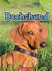 Dachshund (Top Dogs (Children's Press))