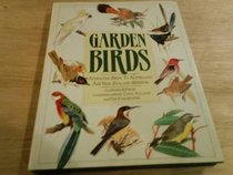 Garden Birds: Attracting Birds to Australian and New Zealand Gardens (A Quarto book)