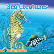 Incredible Sea Creatures (Nature)
