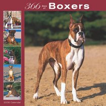 Boxers 366 Days 2008 Square Wall Calendar