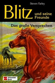 Das groBe Versprechen (The Promise) (Young Black Stallion, Bk 1) (German Edition)