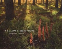 Yellowstone View