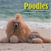 Poodles 2009 Wall Calendar