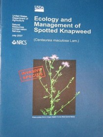 Ecology and management of Spotted Knapweed