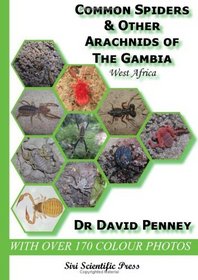 Common Spiders and Other Arachnids of the Gambia, West Africa