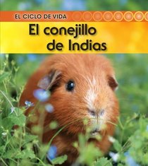 El conejillo de Indias (Guinea Pig) (El Ciclo De Vida / Life Cycle of a. . .) (Spanish Edition)