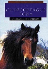 The Chincoteague Pony (Learning About Horses)
