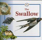 The Swallow (Life Cycles)