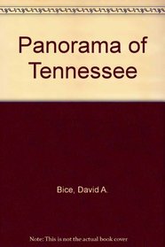 Panorama of Tennessee