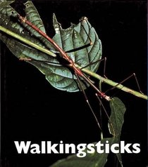 Walkingsticks (Naturebooks)