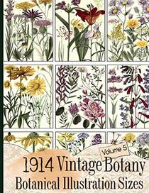 1914 Vintage Botany Botanical Illustration Sizes (Floral Ephemera Series)