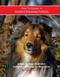 How to Groom A Shetland Sheepdog Perfectly: An Illustrated Instructional Guide for Beginners