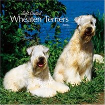 Wheaten Terriers, Soft Coated 2008 Square Wall Calendar (German, French, Spanish and English Edition)