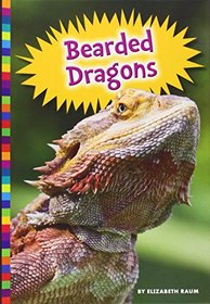 Bearded Dragons (Lizards (Amicus))