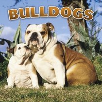 Bulldogs 2005 Wall Calendar