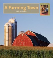 A Farming Town (My First Look at Communities)