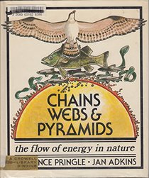 Chains, Webs, and Pyramids