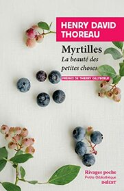 Myrtilles: La beaut des petites choses