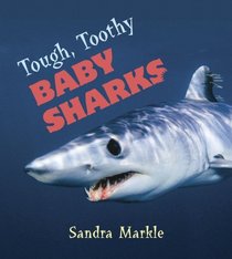Tough, Toothy Baby Sharks