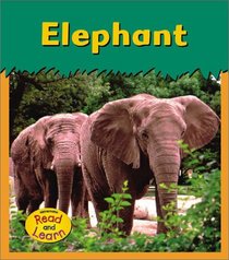 Elephant (Zoo Animals)