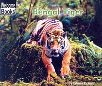 Bengal Tiger (Turtleback School & Library Binding Edition) (Welcome Books: Animals of the World (Sagebrush))