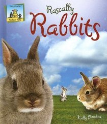 Rascally Rabbits (Perfect Pets)