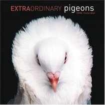 Extraordinary Pigeons Cal06 (Wall Calendar)