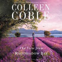 The View from Rainshadow Bay (A Lavender Tides Novel)