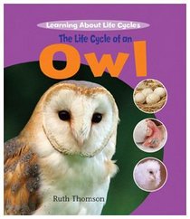 The Life Cycle of an Owl (Learning About Life Cycles)