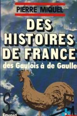 Des histoires de France (French Edition)