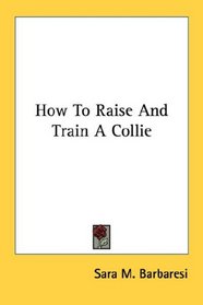 How To Raise And Train A Collie