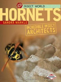 Hornets (Insect World)