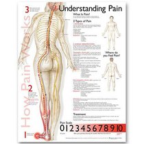 Understanding Pain Anatomical Chart