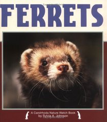 Ferrets (Nature Watch)
