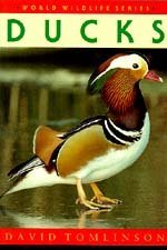 Ducks (World Wildlife Series)