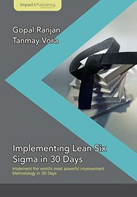 Implementing Lean Six Sigma in 30 Days