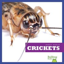 Crickets (Bullfrog Books: Insect World)