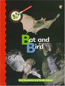 Bat and Bird (Discover the Difference)