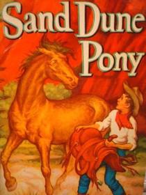 Sand Dune Pony (Audio CD) (Uabridged)
