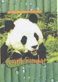Animals of the Rainforest: Giant Pandas (Animals of the Rainforest)