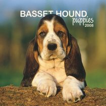 Basset Hound Puppies 2008 Mini Wall Calendar (German, French, Spanish and English Edition)