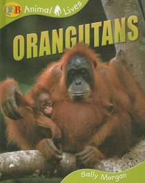 Orangutans (Qeb Animal Lives)