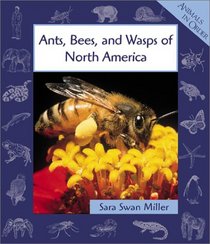 Ants, Bees, and Wasps of North America (Animals in Order)