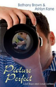 Picture Perfect (Lost Boys and Love Letters, Bk 2)