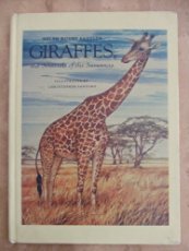 Giraffes, the Sentinels of the Savannas