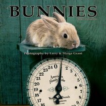 Bunnies 2005 Mini Wall Calendar (Rabbits)