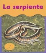La Serpiente/snakes (Bajo Mis Pies / Under My Feet)