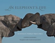 An Elephant's Life: An Intimate Portrait from Africa
